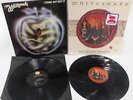White Snake Hair Metal Vinyl Records The Deeper The Love & Come An Get It