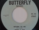 TERRY & THE FINAL TOUCH Return To Me UNDOCUMENTED rare US psych 45 Georgia HEAR