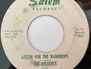 RARE Doo Wop Northern Soul 45 / The Delverts 