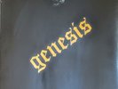 GENESIS - FROM GENESIS TO REVELATION - 180-GRAM CLEAR VINYL LP 