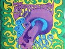 The Sacred Mushroom-same US psych lp reissue new