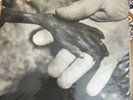 Dead Kennedys, Plastic Surgery Disasters w/ Picture Book, Excellent