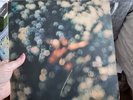 Pink Floyd Obscured By Clouds Vinyl 1972 SHSP 4020 RARE