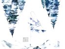 Amonita - Paradise Bird - PROGRESSIVE *NEW*