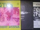 GTO's – Permanent Damage - 1969 US Original Vinyl LP - Straight / STS 1059