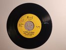 RARE  1960'S GARAGE ROCK PURPLE VIRUS 45RPM