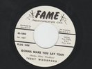 NORTHERN SOUL 45 - TERRY WOODFORD -  GONNA MAKE YOU SAY YEAH  -HEAR-1966 DJ FAME