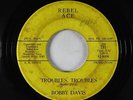 Rockabilly 45 - Bobby Davis - Troubles, Troubles - Rebel Ace - obscure