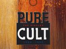 Cult, The - Pure Cult: The Singles 1984-1995 (Vinyl 2LP - 2011 - US - Original)