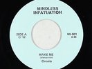 Power Pop 45 - Circuits - Wake Me - Mindless Infatuation - VG+ unknown?