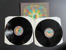 JETHRO TULL ROOTS TO BRANCHES DOUBLE VINYL LP FIRST PRESS