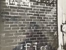 fig.4 LP (sealed) 1986 / Tobin Sprout / Guided by Voices
