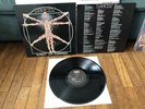 Leeway Born To Expire LP Profile 1st Press Nyhc Cro Mags Agnostic Front Merauder