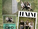 Haim Days Are Gone 10th Anniversary Vinyl Cassette SIGNED Art Print AUTOGRAPH PO