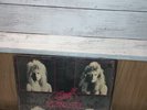 SWEET SAVAGE - Glam Metal EP  produced by Dana Strum - Self Titled OOP Private