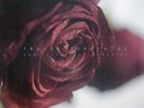 Trevor Something – Lost Love / Lost Memories | Limited Vinyl LP | Synthwave | NM