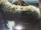 Lemonade by Beyonce (Record, 2017)