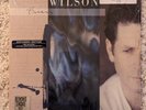 Brian Wilson - Self Titled Vinyl LP, Expanded Edition 2015 RSD Blue Swirl NM