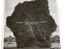 Damon Albarn- Blur - Nearer The Fountain More Pure Stream Flows LP Signed Record