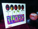 M- SHRINK  1966 MONO MIXES ● ROLLING STONES ● FLOWERS Garage Psych ● NO UK ISSUE