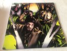 Jungle Brothers Straight Out The Jungle Double Vinyl LP