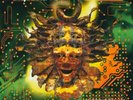 Shpongle ‎– Nothing Lasts 2 x LP - Vinyl Album SEALED NEW Psy-Trance Record