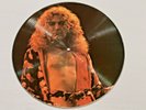 Robert Plant Led Zeppelin Vinyl  Picture Record Disc Central Park 69