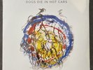 Dogs Die In Hot Cars - Please Describe Yourself