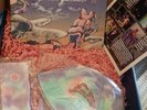 Red Hot Chili Peppers Dream Canteen Promo Box colored vinyl  bucket hat Socks