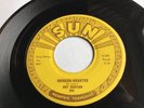 Rare Early 1957 *Roy Orbison* Rockabilly 45 on SUN  Chicken-Hearted  Beauty