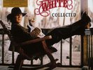 Tony Joe White Collected - LP 33T x 2