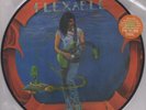 Steve Vai ‎- FLEXABLE LP LIMITED Picture Disc Vinyl - NEW Record Anniversary Ed