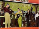 Tibby Edwards - Flip, Flop And Fly, LP, (Vinyl)