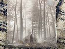 Taylor Swift Folklore (2-LP) 