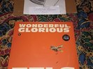 Eels Wonderful, Glorious SEALED 2013 2x10