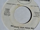Harvey Scales - Shake Your Power 45