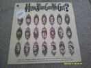 HOW BLUE CAN WE GET  Various Artists 1970 double LP  BLUE HORIZON near mint
