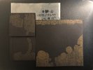 Circle Takes The Square Pg.99 Pyramids In Cloth 7” Record Document #13 Screamo