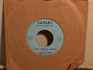 BOB & SHERI Surfer Moon SAFARI Rare BRIAN WILSON Beach Boys Original