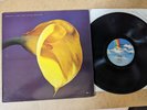 Swans The Burning World Vinyl -  MCG6047 MCA Records  original good condition