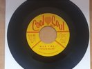 VINYL PHYLLIS DILLON Nice Time / Humpty Dumpty COOL SOUL CS007 US 7