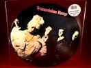 TRANSVISION VAMP Pop Art 1988 UK vinyl Picture Disc LP I Want Your Love original