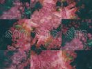 RT EXCLUSIVE | Say She She - Prism | [Red Vinyl LP] | Karma Chief
