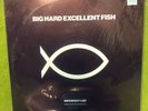 Big Hard Excellent Fish – Imperfect List - 12