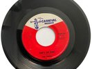 Northern Soul, R&B, The topics, She's So Fine, Carnival Records, USA