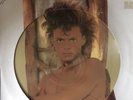 LUIS MIGUEL BUSCA UNA MUJER RARE PICTURE DISC LP