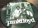 Pink Floyd Flowers & Vegetables picture disc LP vinyl album 2006