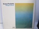 RARE NEW SCARY POCKETS 