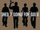Going for Gold: Greatest Hits by Shed Seven (Record, 2019)