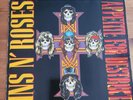 Guns N  Roses Appetite For Distruction vinyl